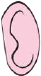 oreille gauche de monsieur patate